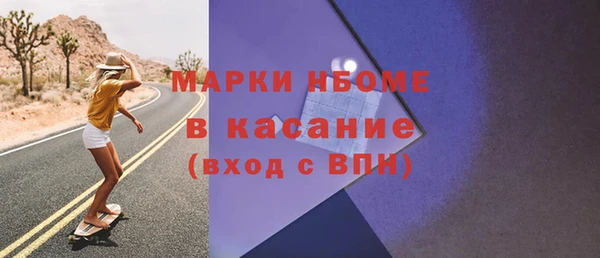 хмурый Аркадак