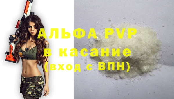 хмурый Аркадак