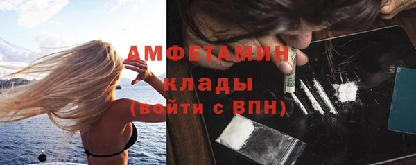 хмурый Аркадак