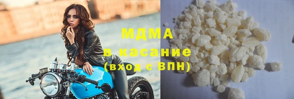 хмурый Аркадак