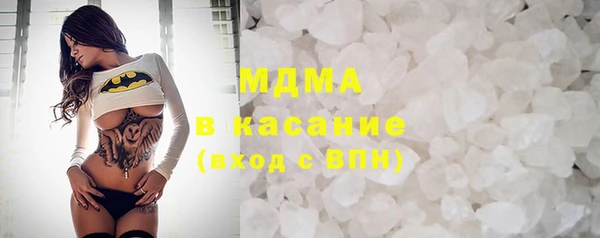 хмурый Аркадак