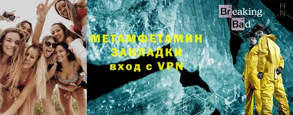 хмурый Аркадак