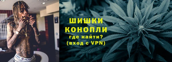 хмурый Аркадак