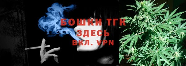 хмурый Аркадак