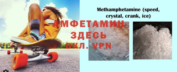 хмурый Аркадак